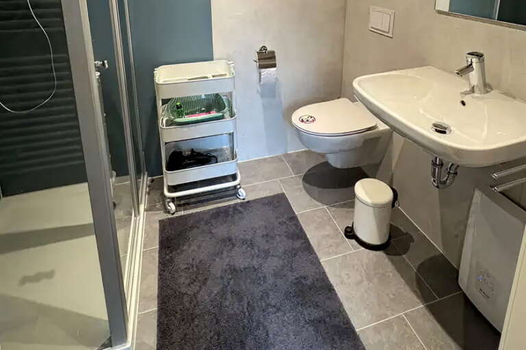 Modernes Badezimmer mit Dusche, wandhängendem WC, Waschbecken, Rollwagen mit Toilettenartikeln, kleinem Mülleimer und einer dunkelgrauen Fußmatte.