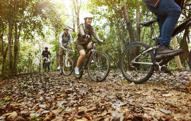 Gruppe von Freunden fahren Mountainbike im Wald