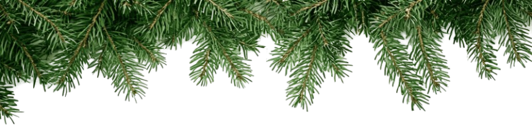 christmas deko zweige