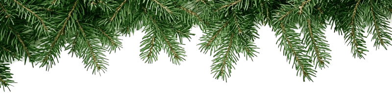 christmas deko zweige