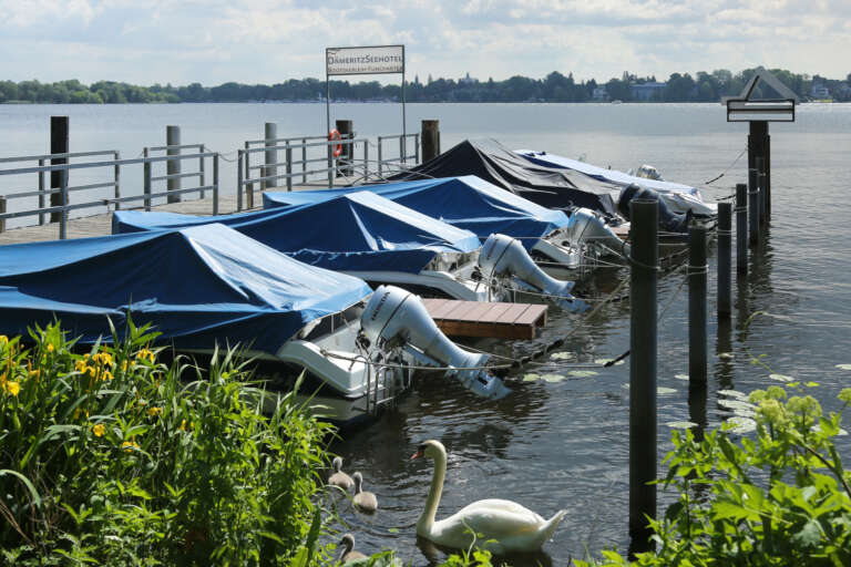 dämeritzseehotel boote