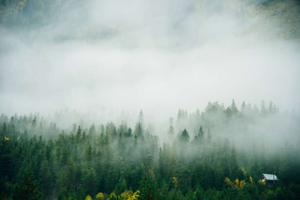entwurfs image