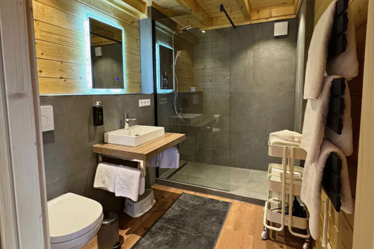 Modernes Badezimmer im Hotel Hochfirst mit Wänden aus Holz und grauen Fliesen, einer begehbaren Glasdusche, einem Waschtisch mit Waschbecken, Handtuchhaltern und einem Spiegel mit eingebauter Beleuchtung.