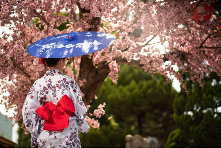 Person im Kimono mit blauem Schirm unter rosa Kirschblüten