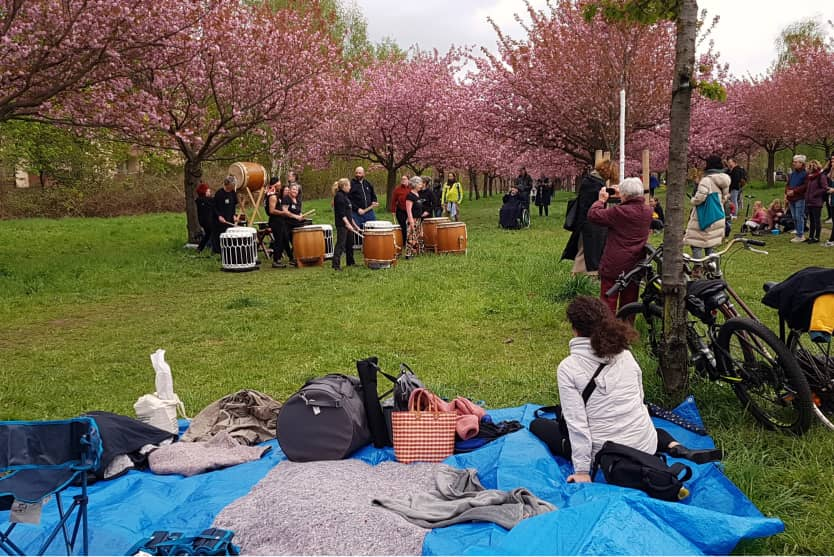 Lageplan der TV-Asahi-Kirschblütenallee in Teltow mit Wegbeschreibung