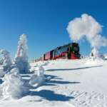 Dampflok der Harzer Schmalspurbahnen durchquert verschneite Hochharz-Landschaft mit Reif und Schnee