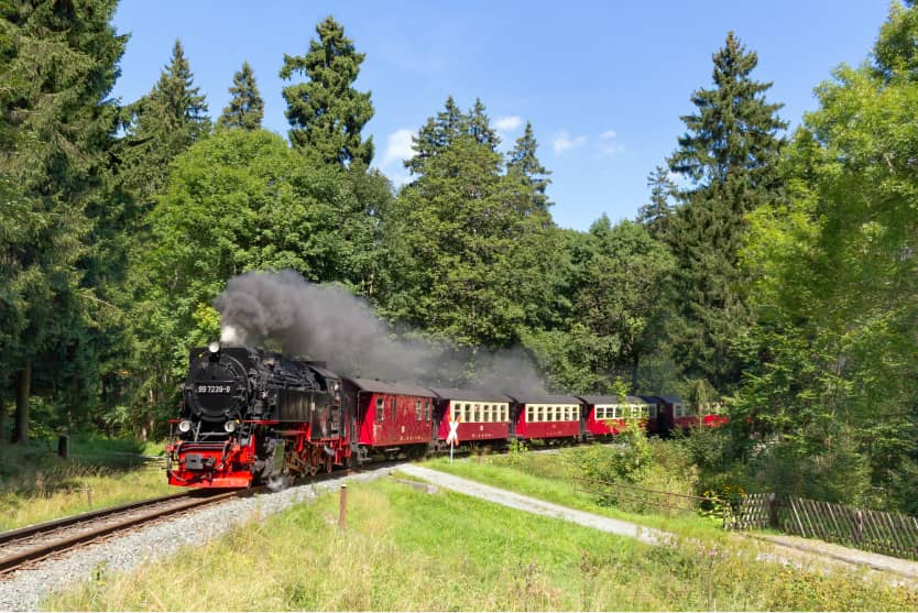 Historischer Dampfzug der Harzer Schmalspurbahnen fährt durch dichten Wald bei sonnigem Sommerwetter