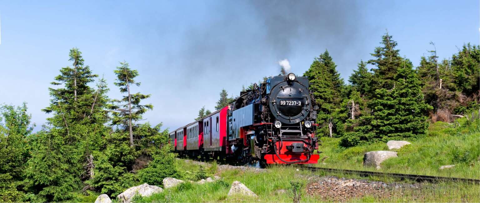 Dampflok der Harzer Schmalspurbahnen fährt mit Personenwagen durch offene Berglandschaft im Sommer