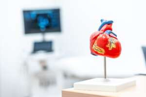 Ein detailliertes anatomisches Modell eines menschlichen Herzens steht auf einem Ständer, im unscharfen Hintergrund ist ein medizinischer Monitor zu sehen.