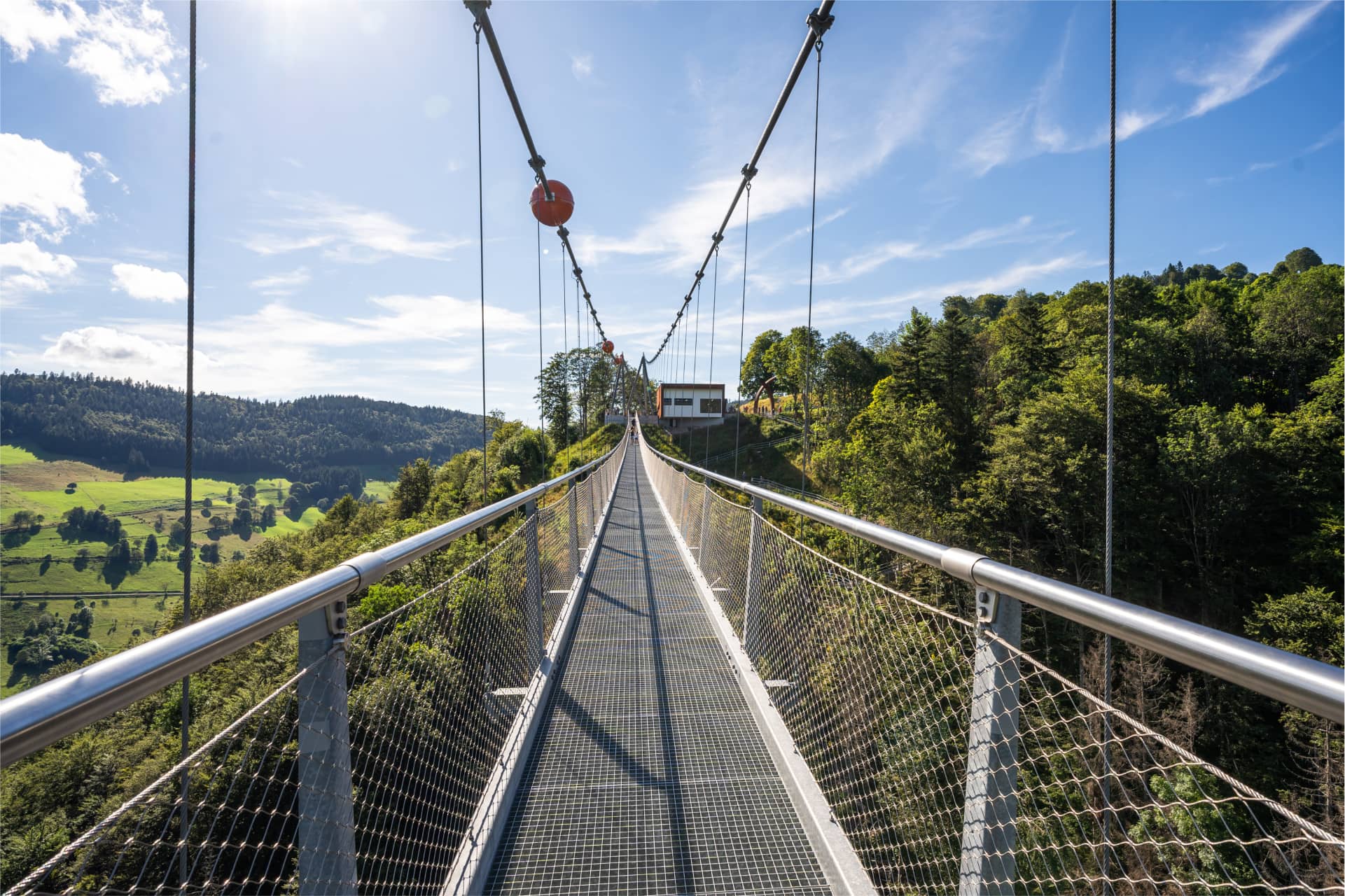 Aussicht von der Hängebrücke Blackforestline am Todtnauer Wasserfall