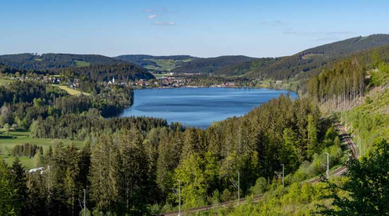 Blick über den Titisee im Schwarzwald bei Hinterzarten, umgeben von bewaldeten Hügeln und grüner Landschaft