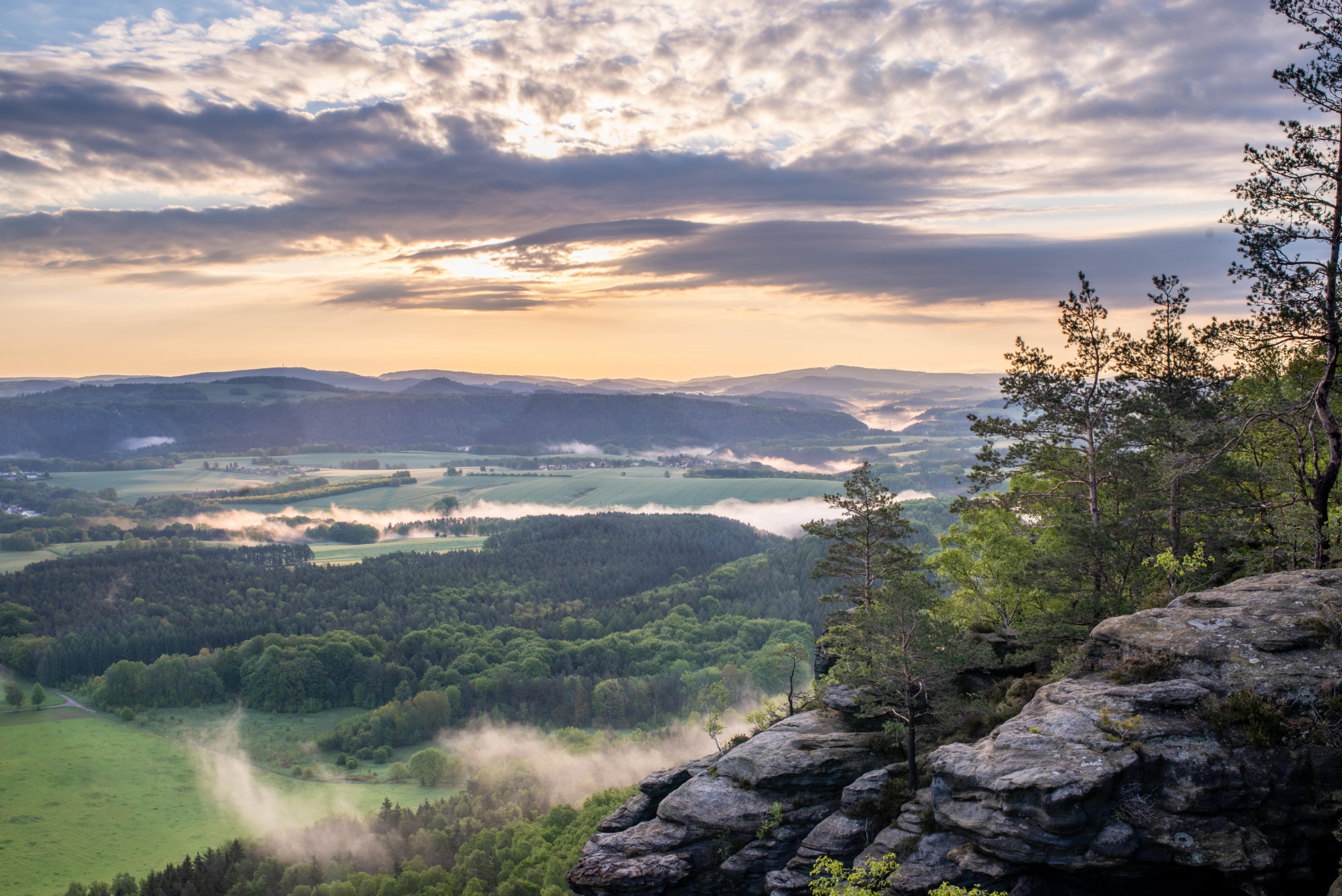 Eine malerische Landschaftsansicht mit sanften grünen Hügeln, Wäldern und Nebel in einem Tal bei Sonnenaufgang, mit felsigen Klippen und Bäumen im Vordergrund.