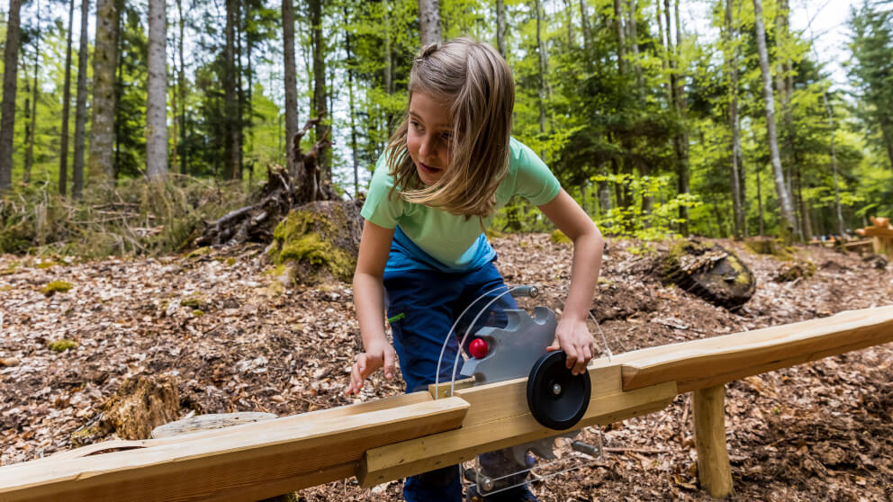 Mädchen bedient eine Kugelbahn-Station aus Holz und Plexiglas mit rotem Ball auf einem Walderlebnispfad.