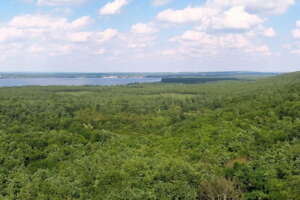 Luftaufnahme des dichten, grünen Waldes rund um den Müggelberg, im Hintergrund ein See unter blauem Himmel mit vereinzelten Wolken.