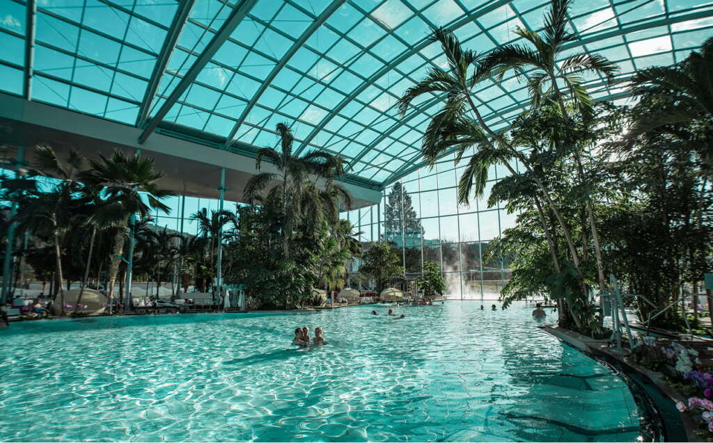 Tropisches Hallenbad mit großem Glasdach und Glaswänden, Palmen sowie mehreren Menschen, die im Wasser schwimmen und sich entspannen.