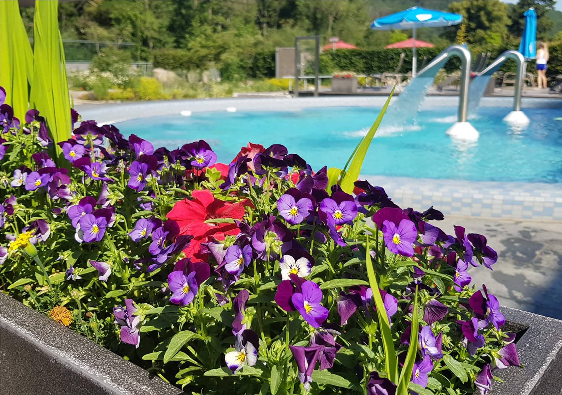 thale bodetal therme
