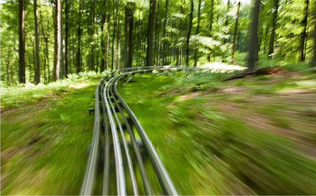 Fahrtperspektive auf rasende Sommerrodelbahn durch grünen Wald