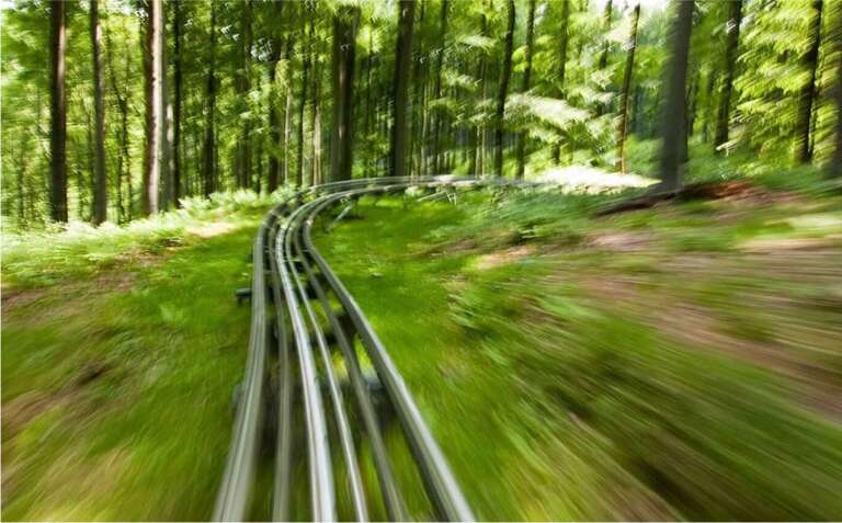 Fahrtperspektive auf rasende Sommerrodelbahn durch grünen Wald