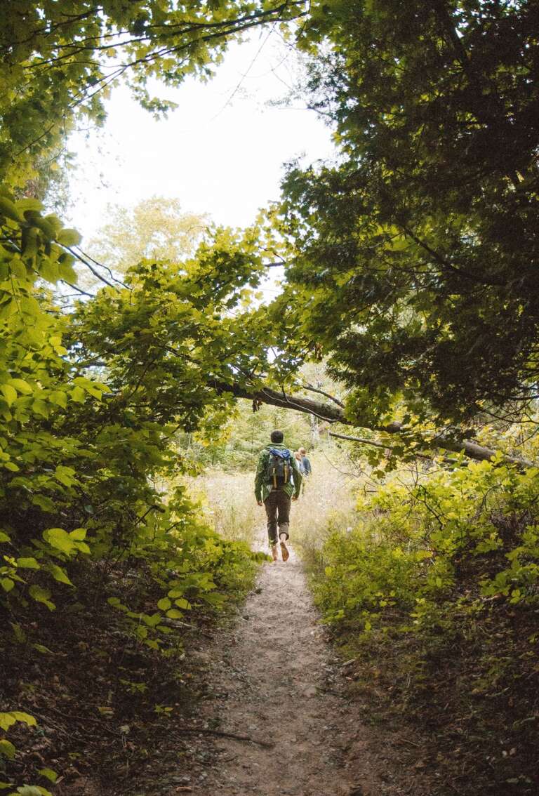 Zwei Wanderer mit Rucksäcken gehen auf einem schmalen Pfad durch einen dichten, grünen Laubwald in Richtung einer lichten Waldwiese.