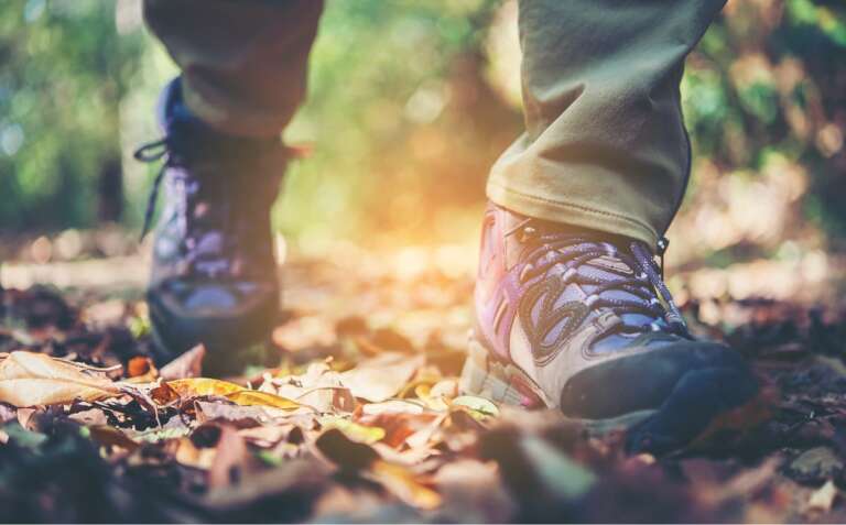 Nahaufnahme von Wanderschuhen auf einem mit Laub bedeckten Waldweg im warmen Sonnenlicht.