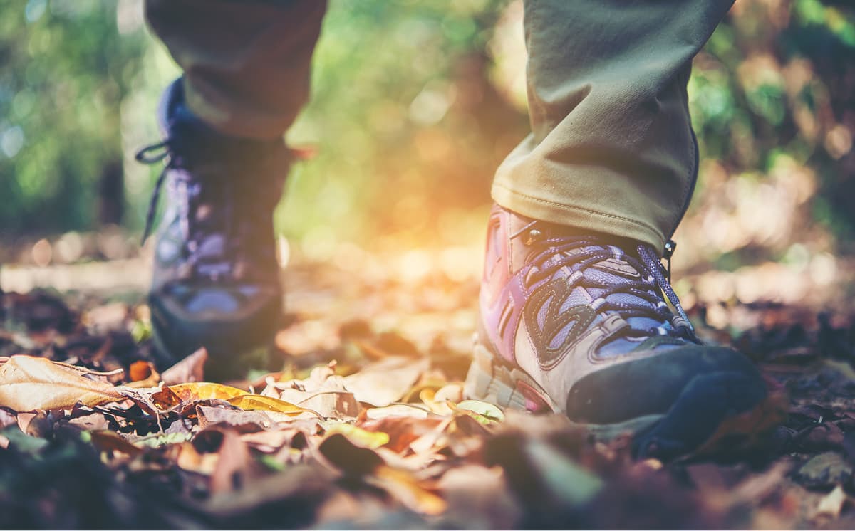 Nahaufnahme von Wanderschuhen auf einem mit Laub bedeckten Waldweg im warmen Sonnenlicht.