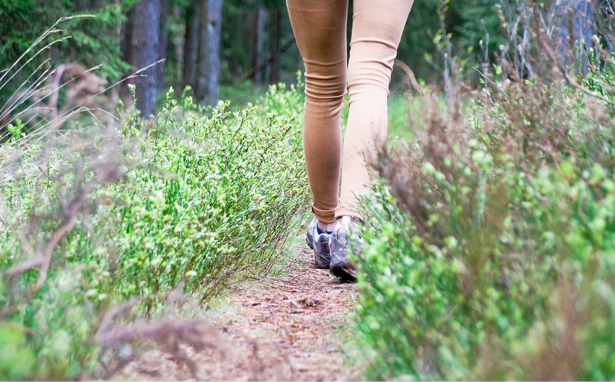 Person in beigefarbener Hose wandert auf einem schmalen Pfad durch grüne Waldvegetation, Blick von hinten auf die Beine und Füße.