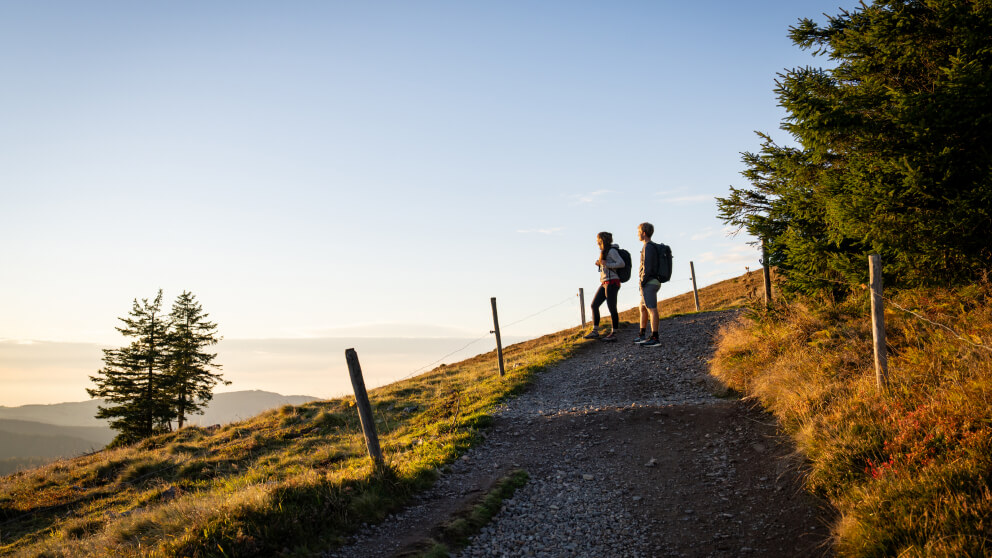 Zwei Wanderer stehen im Gegenlicht der Abendsonne auf einem Bergpfad, umgeben von Weidezaun und herbstlich gefärbten Sträuchern, im Hintergrund Nebel über den Hügeln.